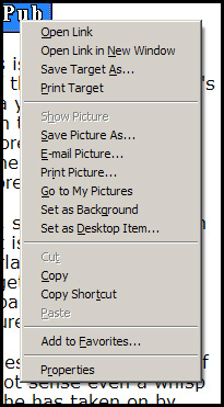 Screen shot of right click menu in IE6 for epub